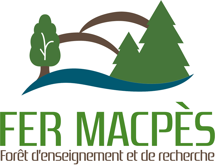 Logo Fer Macpès